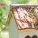 Lupica Hanging Birdhouse