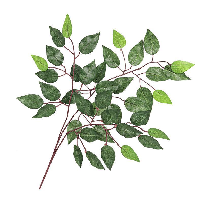 Ficus artificiel, brume, feuillage, verdure