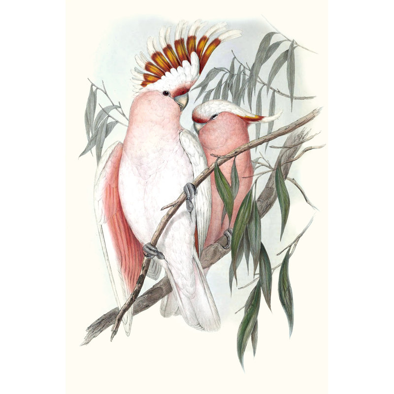 Pastel Parrots I -  Painting, 122 cm H x 81 cm W, Wrapped Canvas