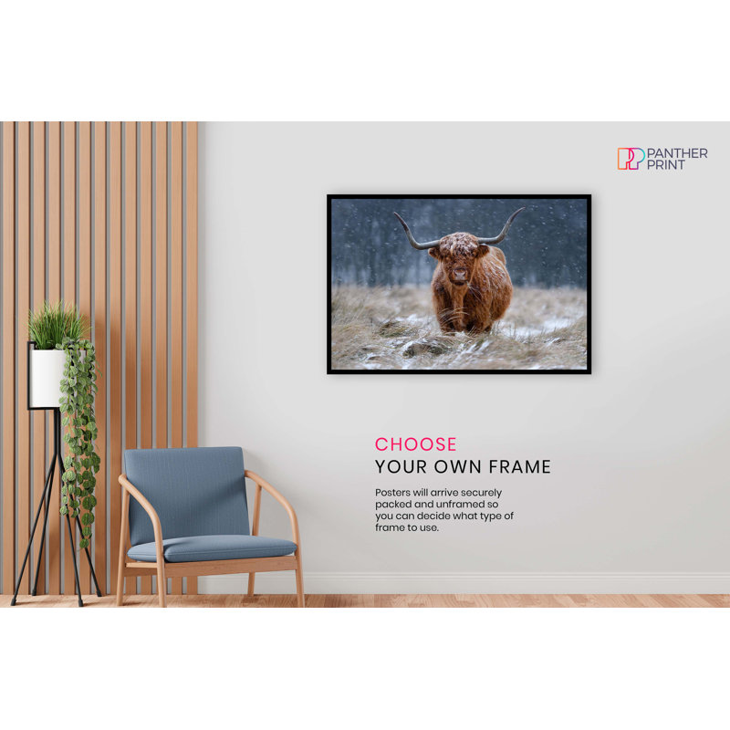 Brown Highland Cow In Snow Fields - No Frame Print, 31cm H x 20cm W