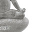 Ensemble de figurine de yoga grenouille
