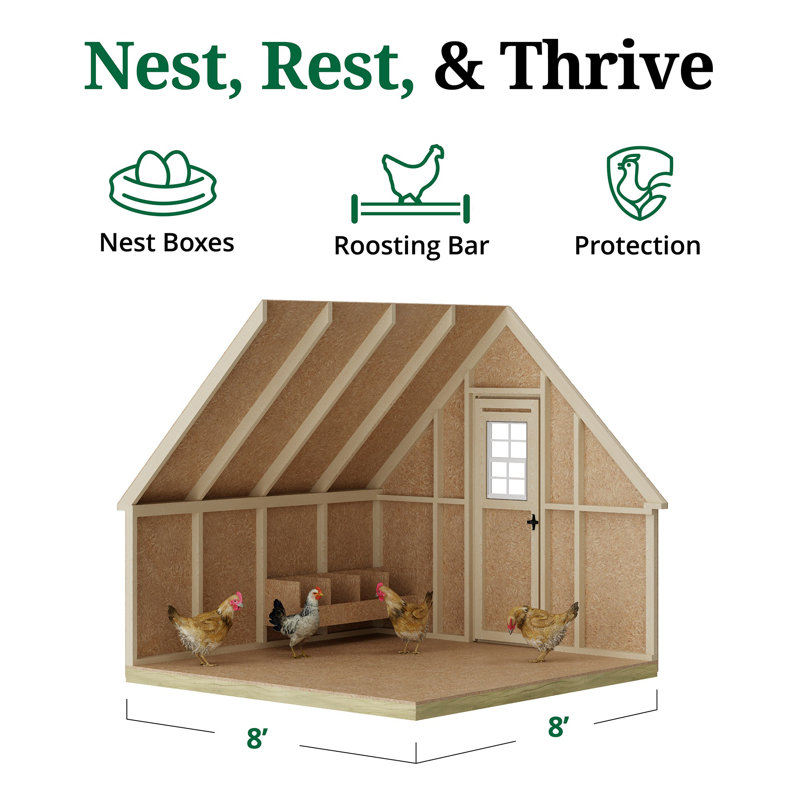 Value Walk in Chicken Coop with Nesting Box, 96" H x 96" W x 96" D