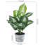 Fausse plante 15 '' Philodendron Taro en pot