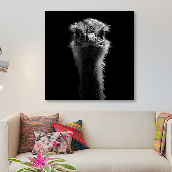 «Ostrich», reproduction de photo sur toile, H 12 po x l 12 po x P 0,75 po, Toile tendue, Pas de tapis