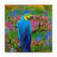 «Bird Collection 24» par Ata Alishahi - impression sur toile tendue-31976247