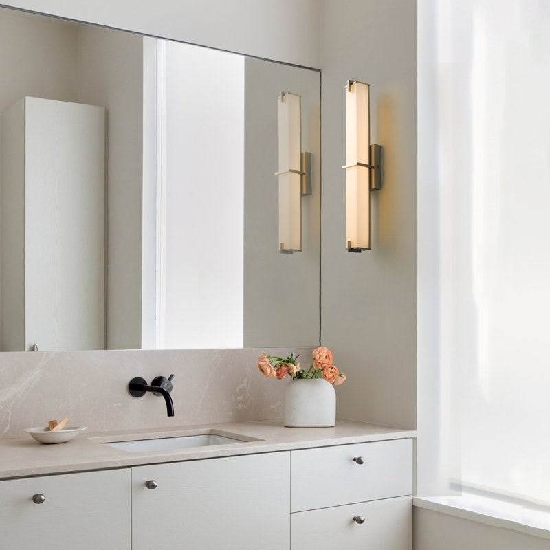 25" Dimmable LED Vanity Light in Brushed Nickel