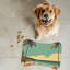 Tapis d'alimentation Old-World Hawaiian Beach