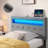 Deantae Upholstered Headboard-1177243377
