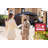 H Frame Real Estate Yard Single Rider