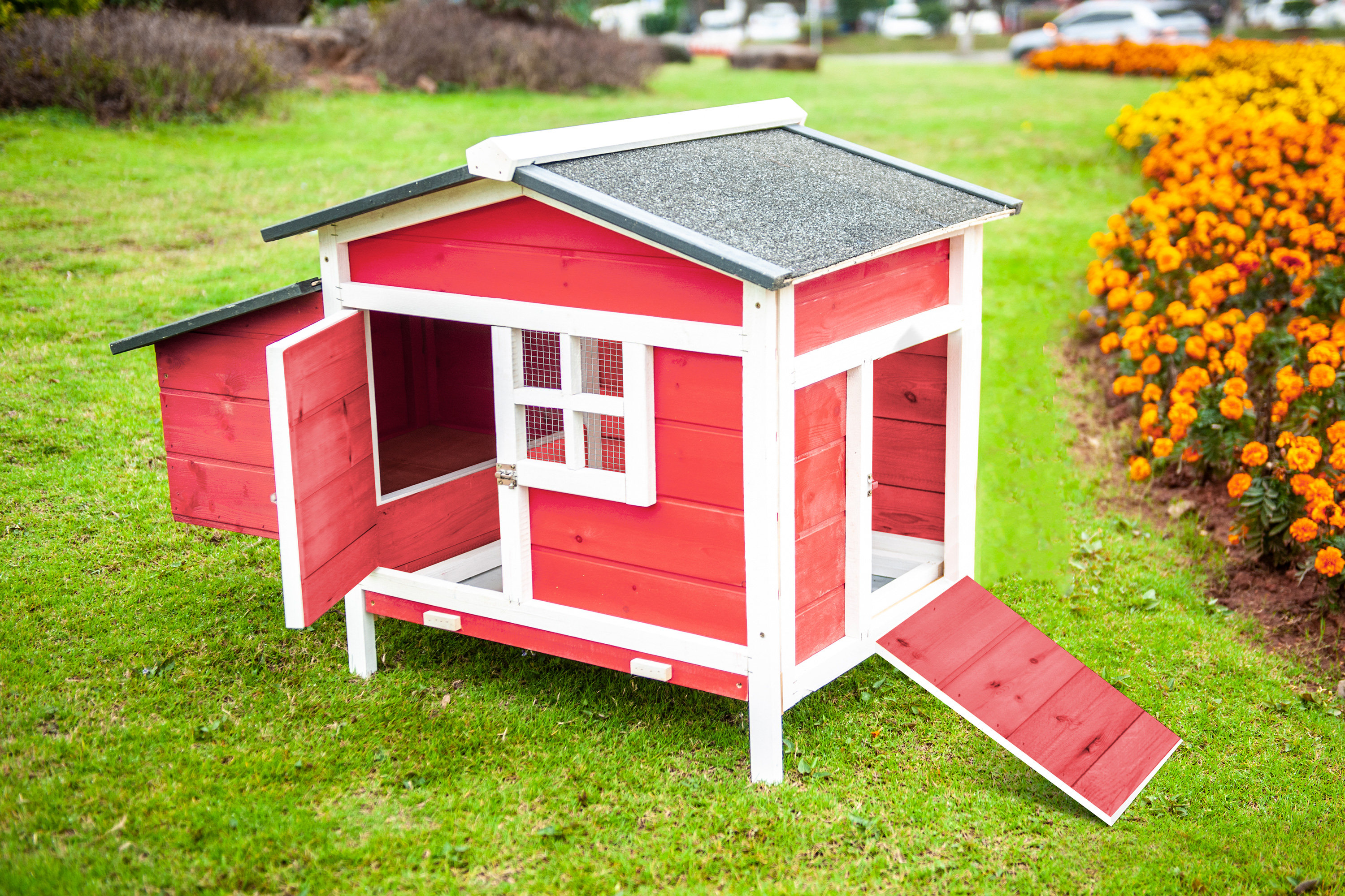 tucker-murphy-pet-daundre-5-64-chicken-coop-with-nesting-box-reviews