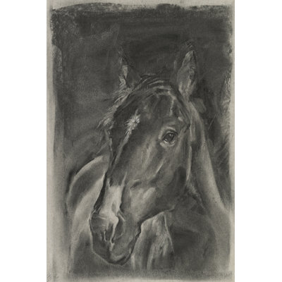 Charcoal Horse Study on Grey II by Jennifer Paxton Parker - Painting