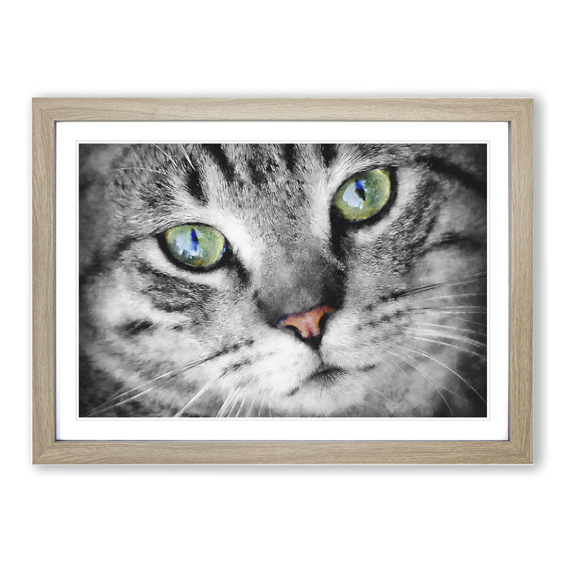 Portrait of a Cat Vol.2 - Picture Frame Painting, Oak Framed, 36cm H x 48cm W x 2cm D