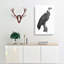 Vulture Illustration - Wrapped Canvas Drawing - Wrapped Canvas-55301796