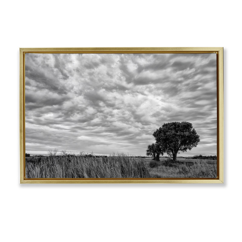 Cadre flottant solitaire arbre sous les nuages, design par Jon Evan, H 21 po x l 31 po, Cadre flottant métallique doré