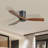 Nicola 52'' 3-Blade Ceiling Fan With Remote Control-1789334595