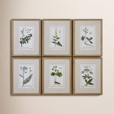 "Green Floral Botanical Study" - 6 Piece Art Set