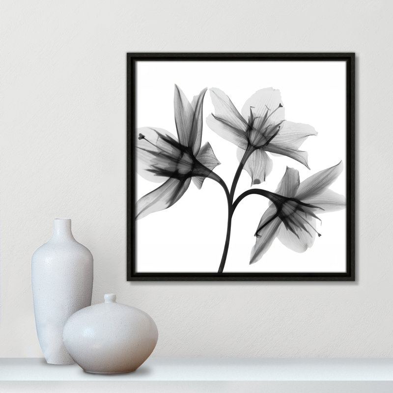 Collection Twins & Trio «Daffodil Trio - Square Version» par Albert Koetsier, H 17,5 po x l 17,5 po, Espresso