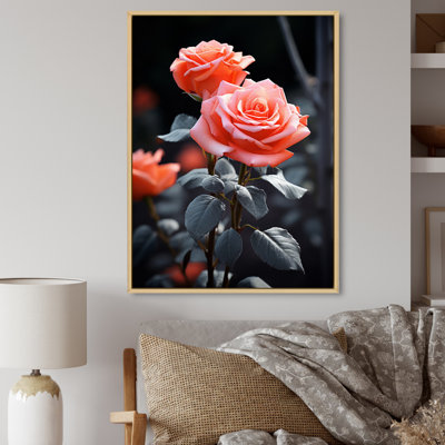 «Peach Roses Coral Serenade At Black», impressions sur toile florales