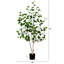 Faux bouleau en pot-945615834