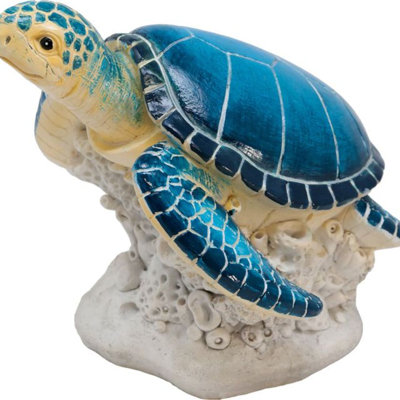 Tortue de mer