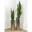 Fausse plante dracéna en pot Rummond-49421110-49421111