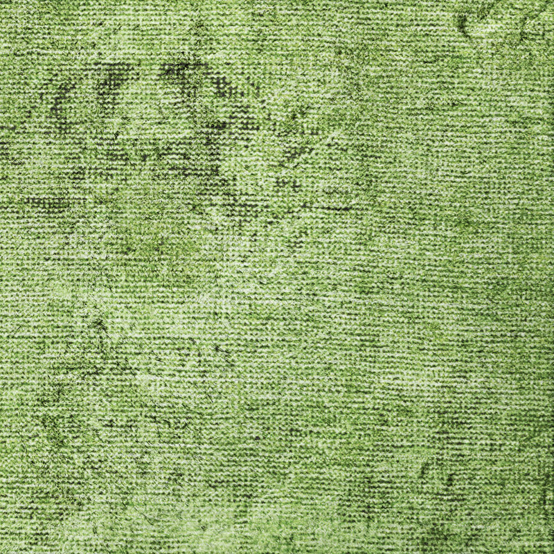 Tapis oriental à poils longs Dream, Aloès, 5' x 7'6"