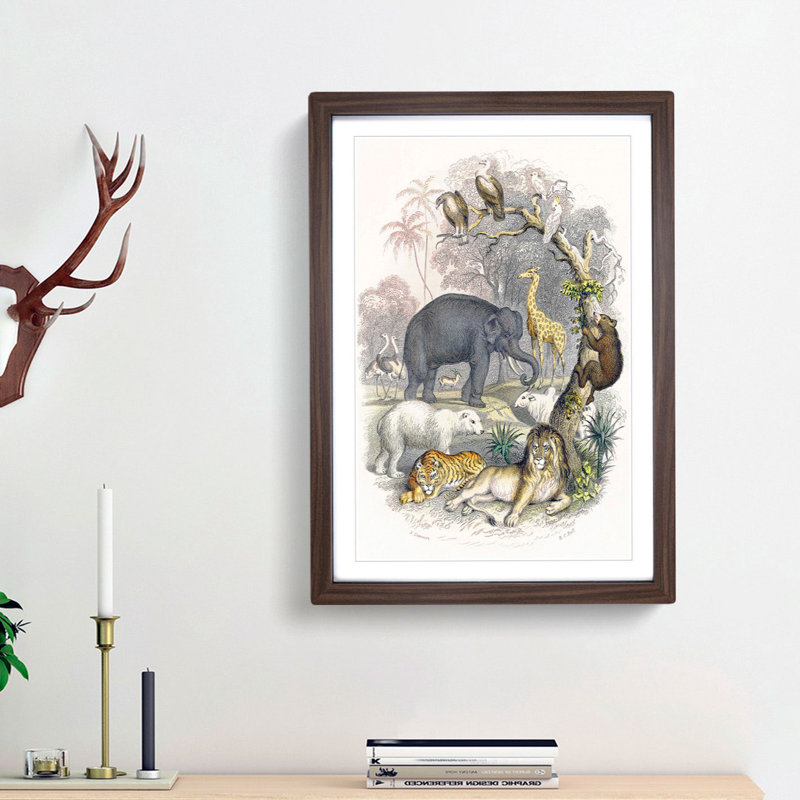 Animal Kingdom Illustration by Oliver Goldsmith - Single Picture Frame Painting, 63cm H x 45cm W x 2cm D, Walnut Framed