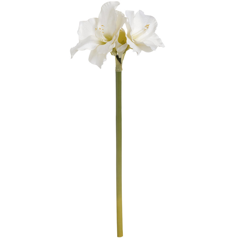 Arrangement, White
