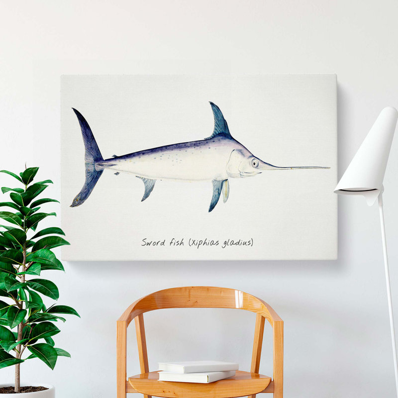 Illustration of a Swordfish by F.E. Clarke - Wrapped Canvas, 35cm H x 50cm W x 3cm D