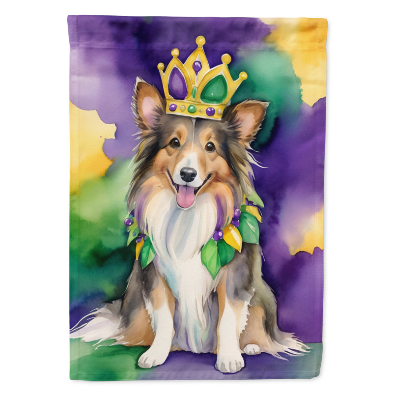 Double Sided 28'' H x 40'' W Polyester Mardi Gras House Flag