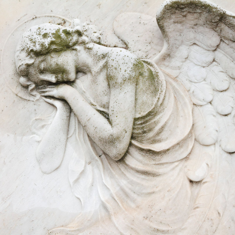Haroldo Sleeping Angel par - Photographie de toile tendue, H 12 po x l 12 po