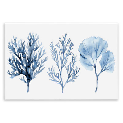 Coral Types Trio Wall Plaque, design by LSR Design Studio