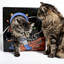 Maison pour chat Ermont