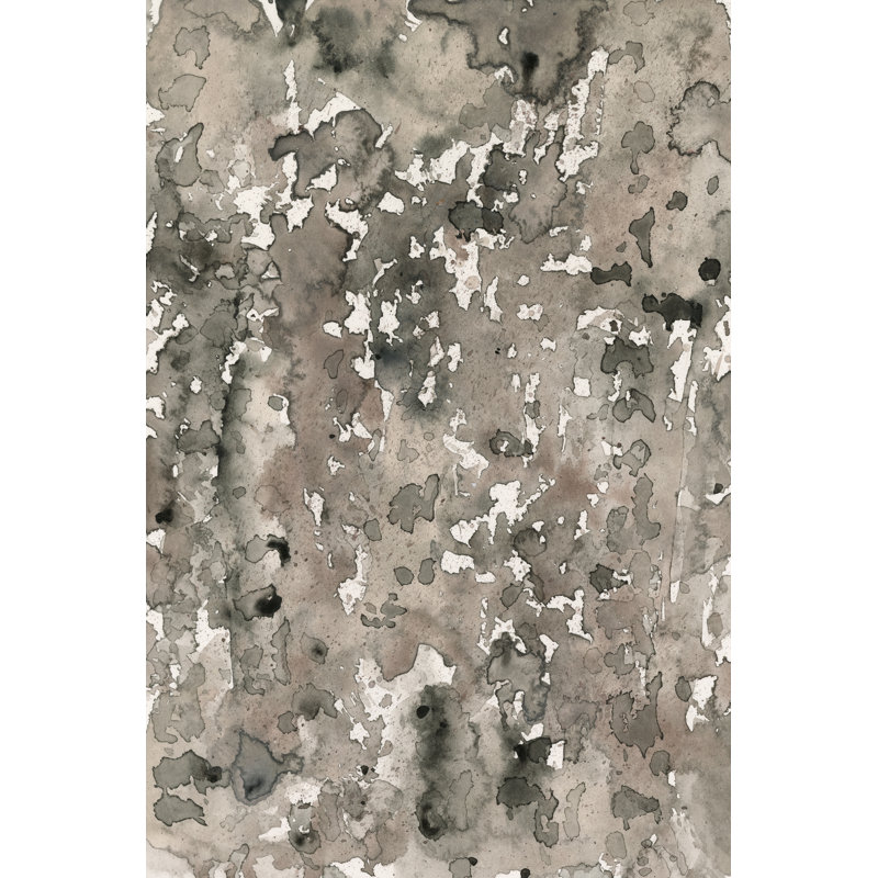 Anatomy Bark II by Samuel Dixon - Wrapped Canvas Print, 61 cm H x 91 cm W