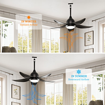 44" Propeller Ceiling Fan With Dimmable Led Lights And Remote Control