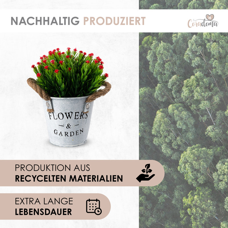 18cm Flowering Plant, White