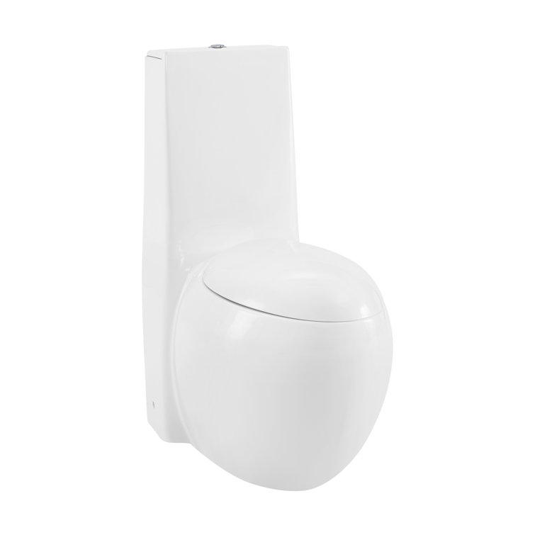 Abruzzo One-Piece Toilet 1.1 GPF/1.6 GPF Dual Flush Elongated Toilet with Soft Closing Seat in Glossy White