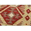 Tapis unique brun de 2 pi 6 po x 6 pi 9 po