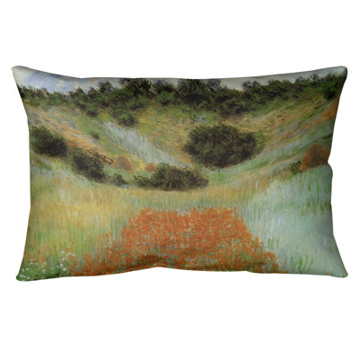 Champ de dépilament dans un coussin lombaire creux