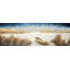 «Boat in the Middle of a Swamp - Blue Coastal», reproduction encadrée