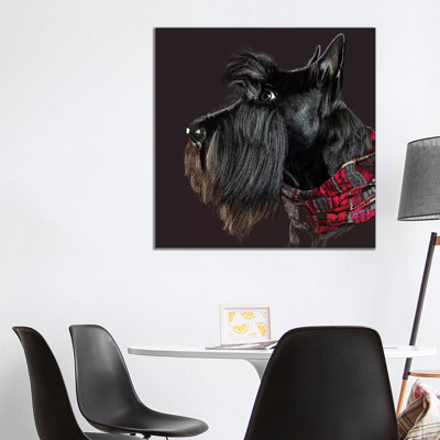 Scottie In Scarf by Vicki Newton - Wrapped Canvas Print