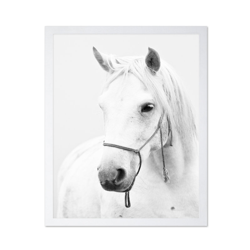 Portrait de cheval blanc, 24"H x 32"W, Poster, White Framed