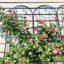 Treillis en métal pour jardin-481118236