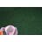 Stirling Indoor Rug-735236803