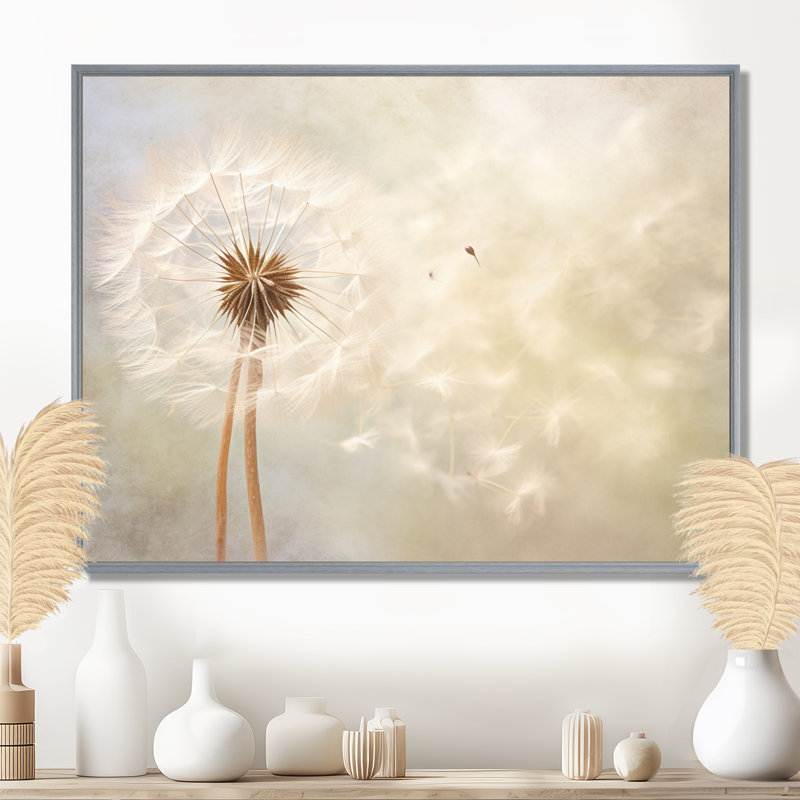 Impression romantique pissenlit blanc IV - Pissenlit blanc, H 24 po x l 32 po x P 1 po, Encadrement argenté