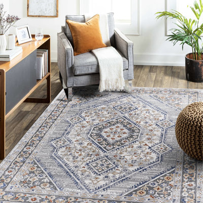 Tapis tissé et tissé 5 x 7, crème bleue, sans perte de teinture, qui convient au salon, à la chambre à coucher, à la salle à manger et au bureau à domicile