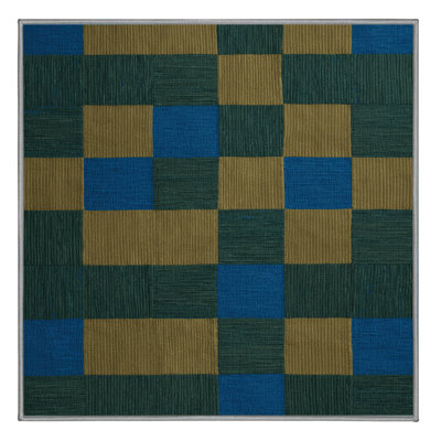 Machine Washable Checkered Green Area Rug