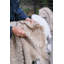 Brentwood Hand Woven Throw Blanket-1444202757