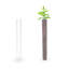 Ensemble de pots de fleurs transparents en forme de pot de fleurs pour aquarium et de terrarium 36 po de hauteur x 4 po de diamètre x 8 po x base