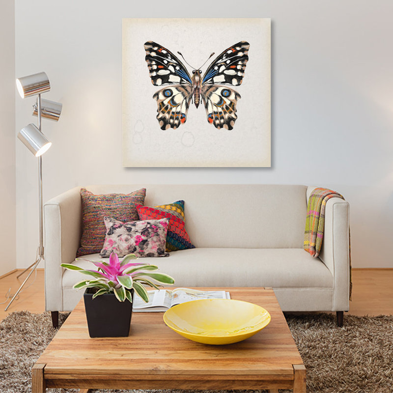 « papillon study ii », impression sur toile, H 12 po x l 12 po x P 1,5 po, Pas de tapis, Toile tendue